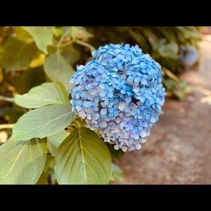 Meet your Posher, Xi